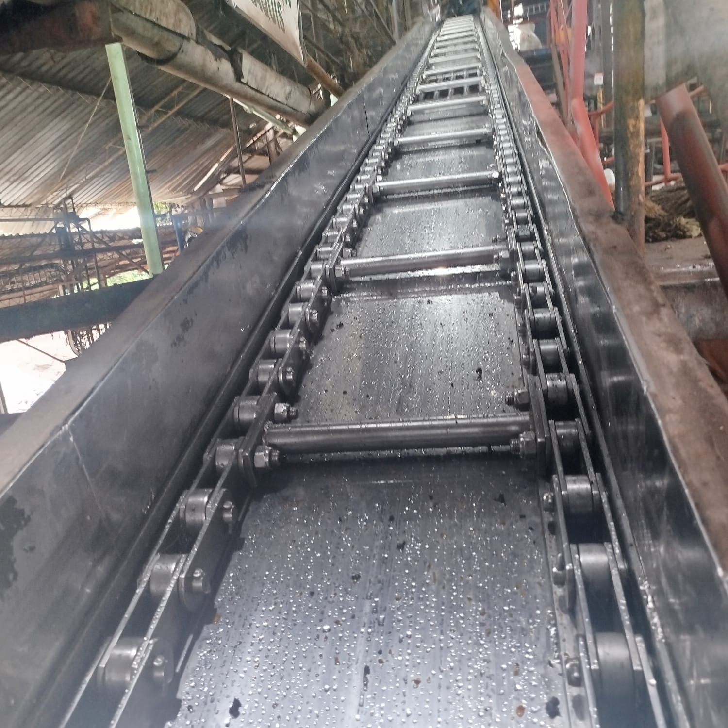 Cintas Transportadoras Oleícolas